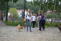 В рамках выставки беспородных собак в Южно-Сахалинске 8 питомцев обрели хозяев, Фото: 45