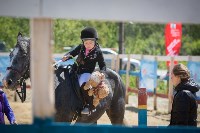 Соревнования по адаптивному конному спорту в Троицком - 2017, Фото: 25