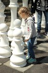 Известные сахалинские шахматисты сразились одновременно с 18 противниками, Фото: 7