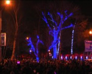 Главная новогодняя елка зажглась, Фото: 20
