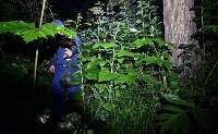Мужчина залез на дерево, спасаясь от медведя в Южно-Сахалинске, Фото: 5