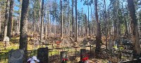 Неизвестные спилили деревья у могил и повредили оградки на кладбище в Южно-Сахалинске, Фото: 8