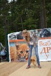В рамках выставки беспородных собак в Южно-Сахалинске 8 питомцев обрели хозяев, Фото: 10