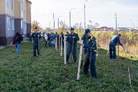 В Новотроицком люди посадили больше 300 деревьев и кустарников, Фото: 10