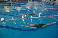Областной чемпионат по плаванию открылся на Сахалине, Фото: 19