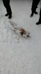 Снаряд нашли при раскопках в Александровске-Сахалинском, Фото: 1