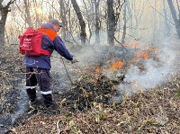 Пожар у села Дубовое тушили 111 человек, Фото: 1