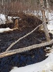 Разлив нефти не ликвидируют на севере Сахалина несколько месяцев , Фото: 7