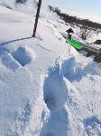 Крышу продавило тяжёлым снегом в доме в Адо-Тымово, Фото: 2
