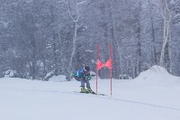 Чемпионат и первенство по горнолыжному спорту начались на Сахалине, Фото: 4