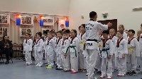 Восемьдесят сахалинских тхэквондистов получили пояса разной степени, Фото: 1