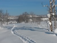 Снег в Чапланово, Фото: 13