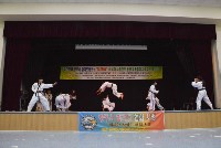 В Южно-Сахалинске выступили корейские мастера хапкидо, Фото: 10