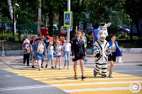 В Южно-Сахалинске «зебры» дополнили предостерегающими надписями, Фото: 10
