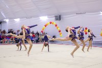 Турнир по эстетической гимнастике прошел на Сахалине, Фото: 6
