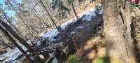 Неизвестные спилили деревья у могил и повредили оградки на кладбище в Южно-Сахалинске, Фото: 1