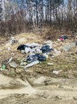 Свалку обнаружили в районе очистных сооружений, Фото: 5