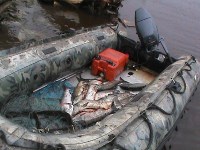 Более 3,5 тонн рыбы изъяли сахалинские полицейские у браконьеров, Фото: 4
