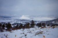 В заповеднике «Курильском» пересчитали животных, Фото: 1