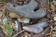 Останки бомбардировщика времен Второй мировой войны найдены на Сахалине, Фото: 9