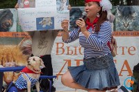 В рамках выставки беспородных собак в Южно-Сахалинске 8 питомцев обрели хозяев, Фото: 39
