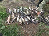 Факты незаконного вылова ценных пород рыбы зафиксировали в Охинском районе, Фото: 13