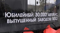 Первая партия новых зелёных автобусов прибыла в Южно-Сахалинск, Фото: 2