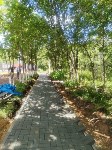 Парк культуры и отдыха имени Героя Советского Союза Н.Д. Грищенко благоустраивают в Тымовском, Фото: 2