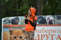 В рамках выставки беспородных собак в Южно-Сахалинске 8 питомцев обрели хозяев, Фото: 173