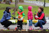 Южносахалинцы в знак любви к городу посадили анютины глазки, Фото: 22