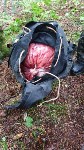 Схрон со 150 килограммами красной икры обнаружили сахалинские пограничники, Фото: 1