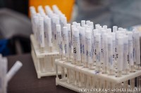 Около ста человек сдали тест на коронавирус в Сахалинской областной думе, Фото: 4