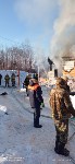 В СНТ "Солнышко" из огня спасли четыре кошки и одну собаку, Фото: 4