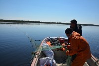 Браконьеров с уловом краснокнижной рыбы задержали на Сахалине , Фото: 9