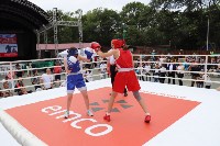 На Сахалине отметили международный день бокса, Фото: 47