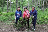 Субботник в городском парке Южно-Сахалинска, Фото: 4