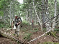 Японские и сахалинские ученые вместе искали вымерших миллионы лет назад моллюсков, Фото: 2