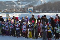 Соревнования по лыжным гонкам, Фото: 26