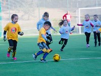 На Сахалине стартовали футбольные игры Детсадовской семейной лиги, Фото: 9