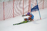 Борьба за кубки области и федерации горнолыжного спорта и сноуборда , Фото: 7