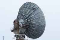 Вороны свили гнёзда на 15-метровой "Орбите" на Северных Курилах, Фото: 2