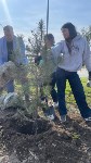 Новая аллея появилась у аэровокзала в Южно-Сахалинске, Фото: 3
