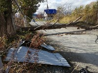 В Южно-Сахалинске поваленное дерево перегородило улицу Горную, Фото: 2