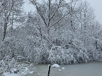 Сахалинцы пережили второй день метели, Фото: 5