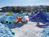 Сахалинские дети победили в федеральном конкурсе на лучший снежный городок, Фото: 2