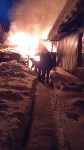 Пожар в Красногорске, Фото: 5