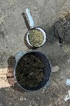 Наркотики и боеприпасы хранил в своей квартире житель Шахтёрска, Фото: 4