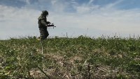 Более 6000 взрывоопасных предметов уничтожили военнослужащие на острове Шумшу, Фото: 4