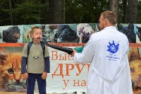 В рамках выставки беспородных собак в Южно-Сахалинске 8 питомцев обрели хозяев, Фото: 238
