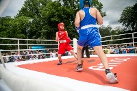 На Сахалине отметили международный день бокса, Фото: 30